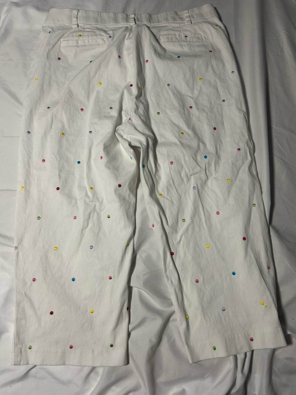 Briggs New York Womens Capri Pants White Embroidered Polka Dots Size 16 - Picture 8 of 13
